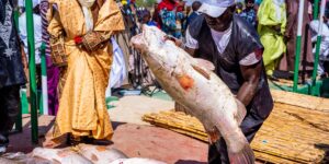Kebbi State Zip Codes & Postal Codes: Full LGA List, Capital Birnin Kebbi & Complete Guide (2026) A fisherman at the Argungu Fishing Festival in Kebbi State