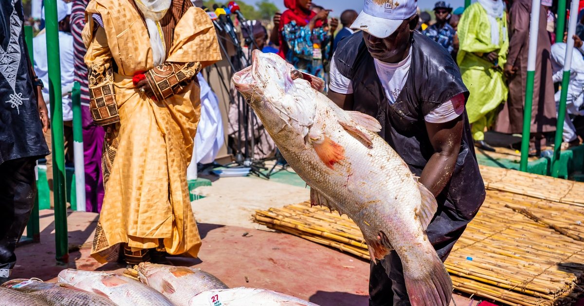 A fisherman at the Argungu Fishing Festival in Kebbi State